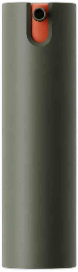 Leave-in scalp treatment